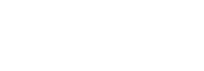 Rane Consulting Limited